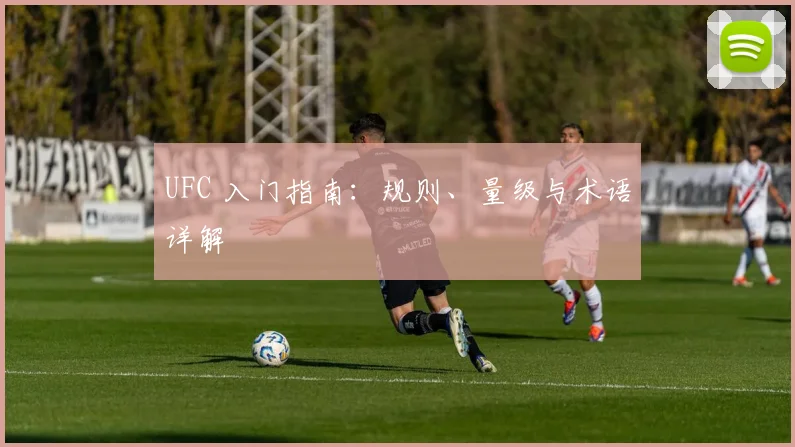 UFC 入门指南:规则、量级与术语详解
