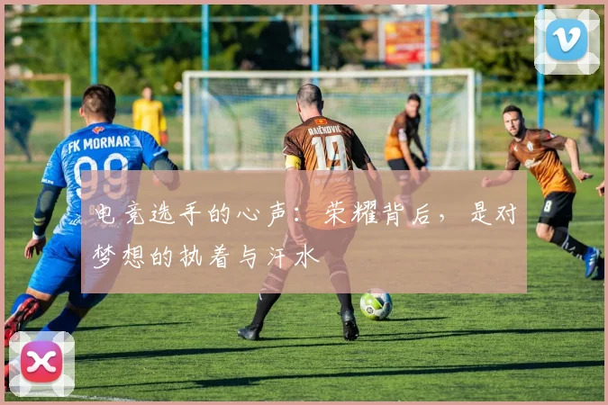 电竞选手的心声：荣耀背后，是对梦想的执着与汗水
